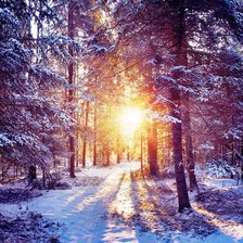 Схема вышивки «серия: зима»