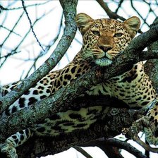 Схема вышивки «отдых»