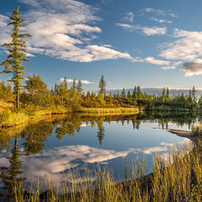 Схема вышивки «Северные леса»