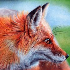 Схема вышивки «Сэмюэль Сильва рисунки шариковой ручкой»