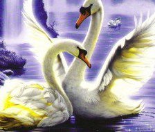 Лебединое озеро