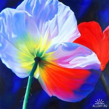 Схема вышивки «mak»