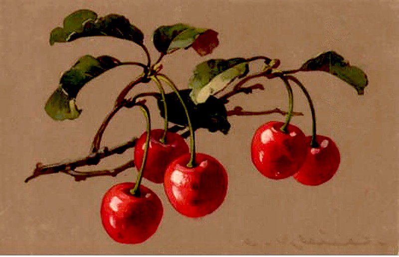 Вишеньки - для кухни, ягоды, вишня - оригинал