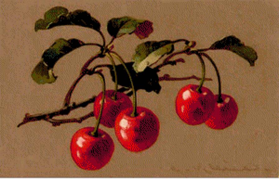 Вишеньки - вишня, ягоды, для кухни - предпросмотр