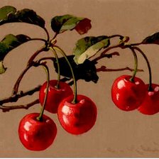 Схема вышивки «Вишеньки»