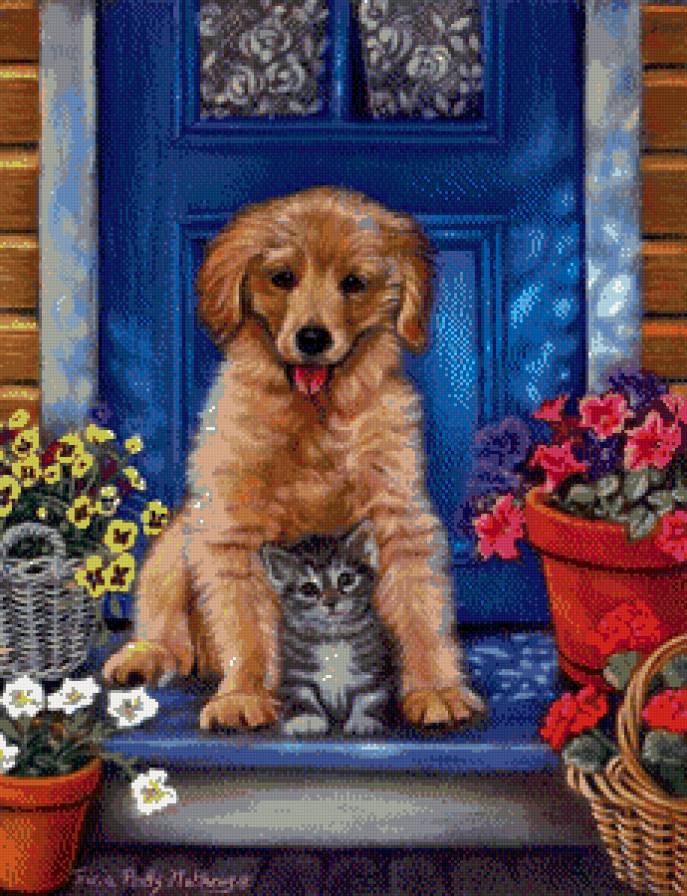 друзья - собаки - предпросмотр