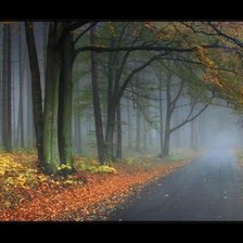 Схема вышивки «№446101»