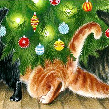 любопытство не порок