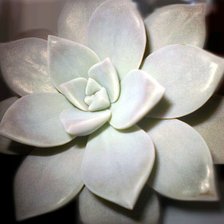 Схема вышивки «№446317»