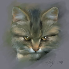 Схема вышивки «кот сердится»