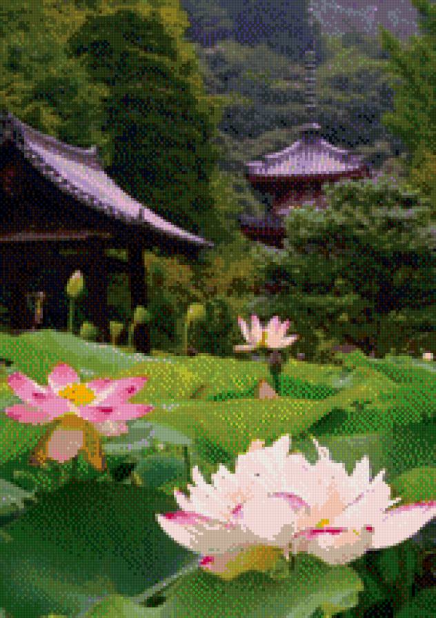 Япония - лотос, япония - предпросмотр