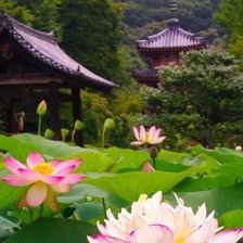 Схема вышивки «Япония»