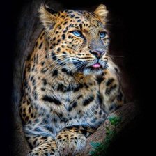 Схема вышивки «№446618»