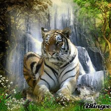 Схема вышивки «№446624»