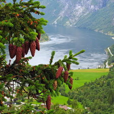 Схема вышивки «серия "реки"»
