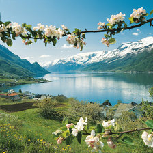 Схема вышивки «серия "реки"»