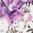 Предпросмотр схемы вышивки «№446689»