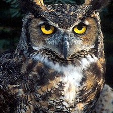 Схема вышивки «№446819»