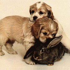 Схема вышивки «друзья»