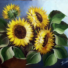 подсолнухи