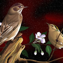 Схема вышивки «птицы»