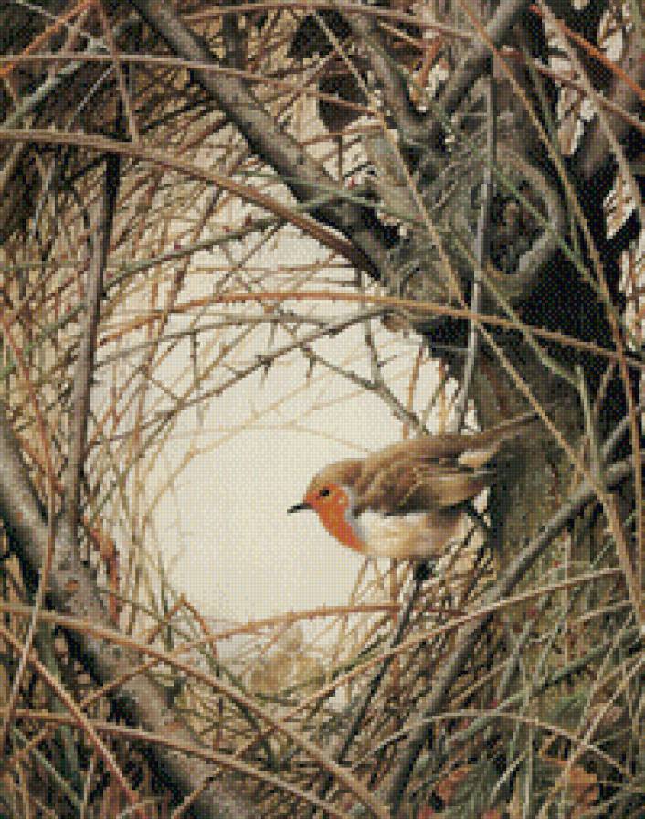 птичка - зима, гнездо, птицы - предпросмотр