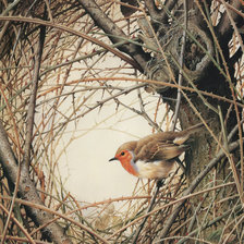 Схема вышивки «птичка»