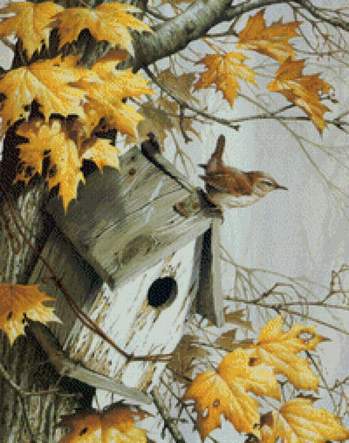 скворечник и воробей - воробей, птицы, осень - предпросмотр