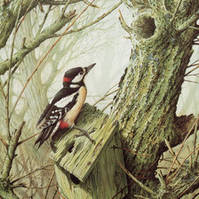 Схема вышивки «дятел»