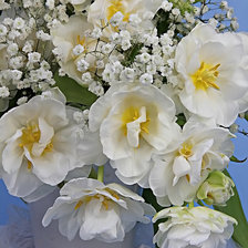 Схема вышивки «Натюрморт»