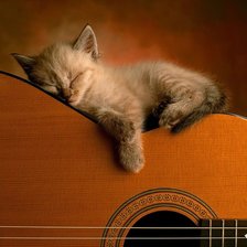 Схема вышивки «Перезанимался!»