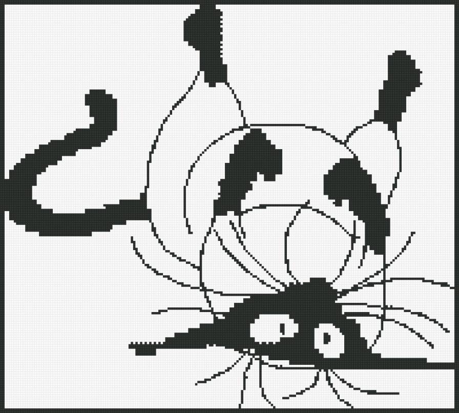 котик - прикол, животное, котик - предпросмотр