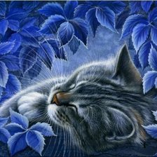 Схема вышивки «Кошка»