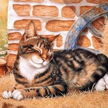 Схема вышивки «кот»