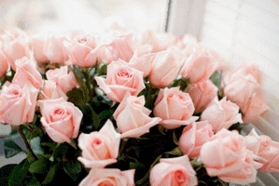 Розы - букет, подарок, розовый, цветы, розы, запах, пейзаж, красота - предпросмотр