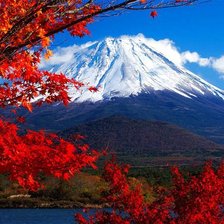 Схема вышивки «осень в японии»