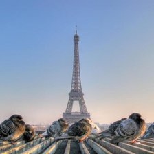 Схема вышивки «Париж»