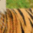 Предпросмотр схемы вышивки «тигр» (№448197)