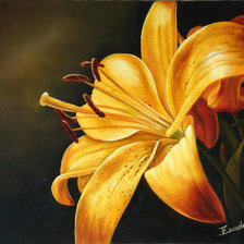 Схема вышивки «желтая лилия»