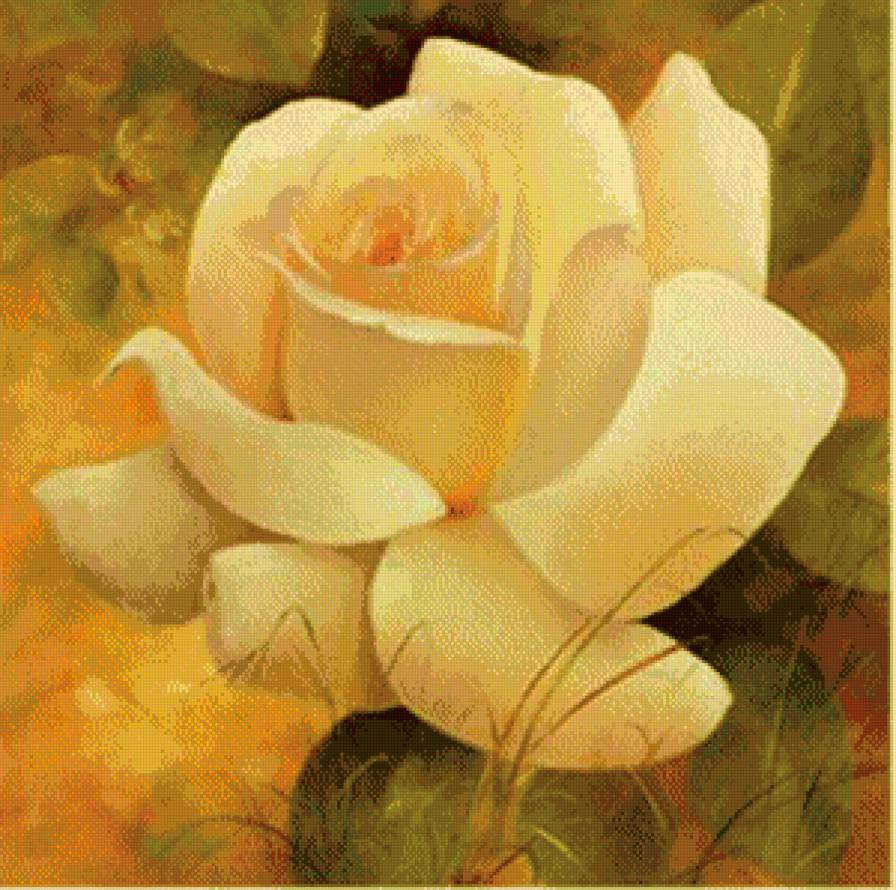 роза - предпросмотр