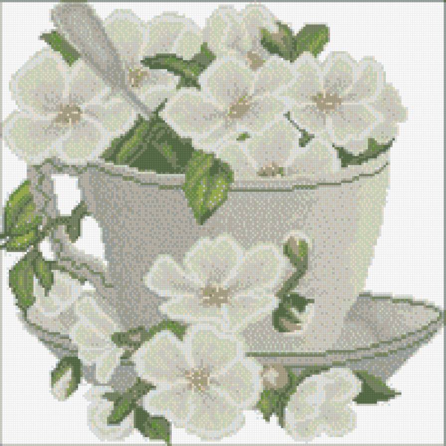 белые цветы в чашке - натюрморт, цветы - предпросмотр