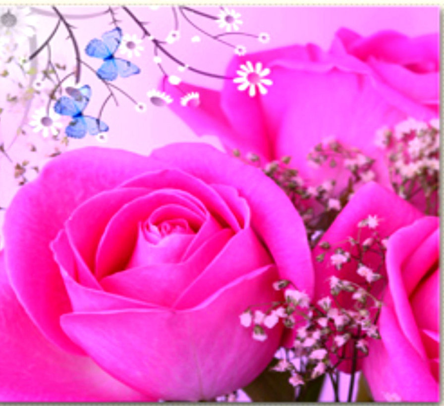 №448358 - оригинал