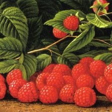 Схема вышивки «№448380»