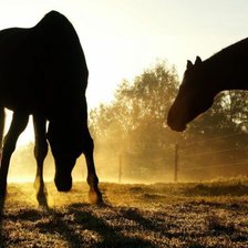 Схема вышивки «2 лошадки на закате))»