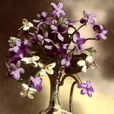 Схема вышивки «№448509»