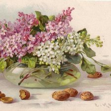 Схема вышивки «№448513»