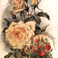 Схема вышивки «№448516»