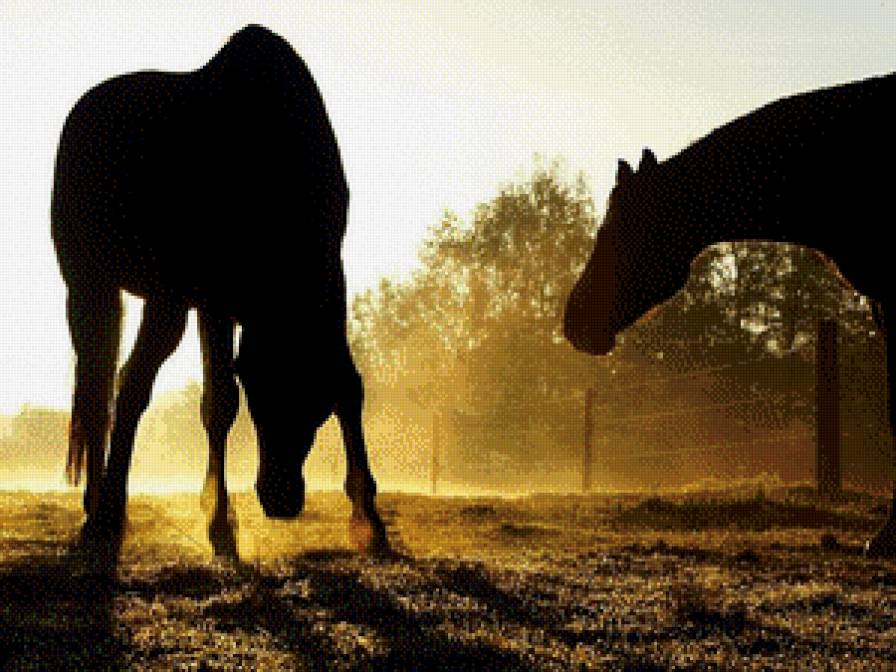 №448532 - предпросмотр