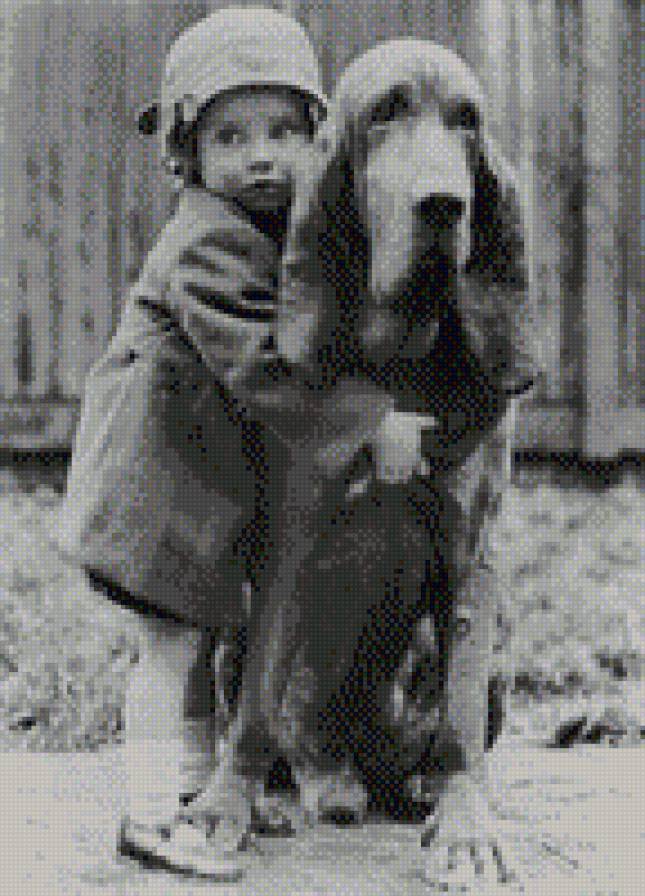 друзья на всю жизнь:)-3 - предпросмотр