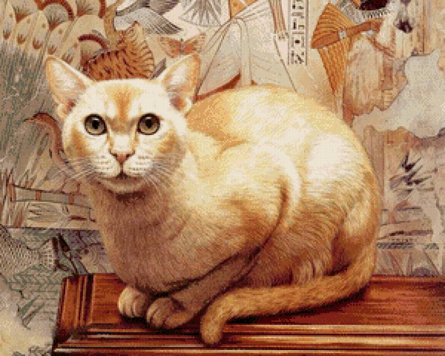 кот - кошка, животные, кот - предпросмотр